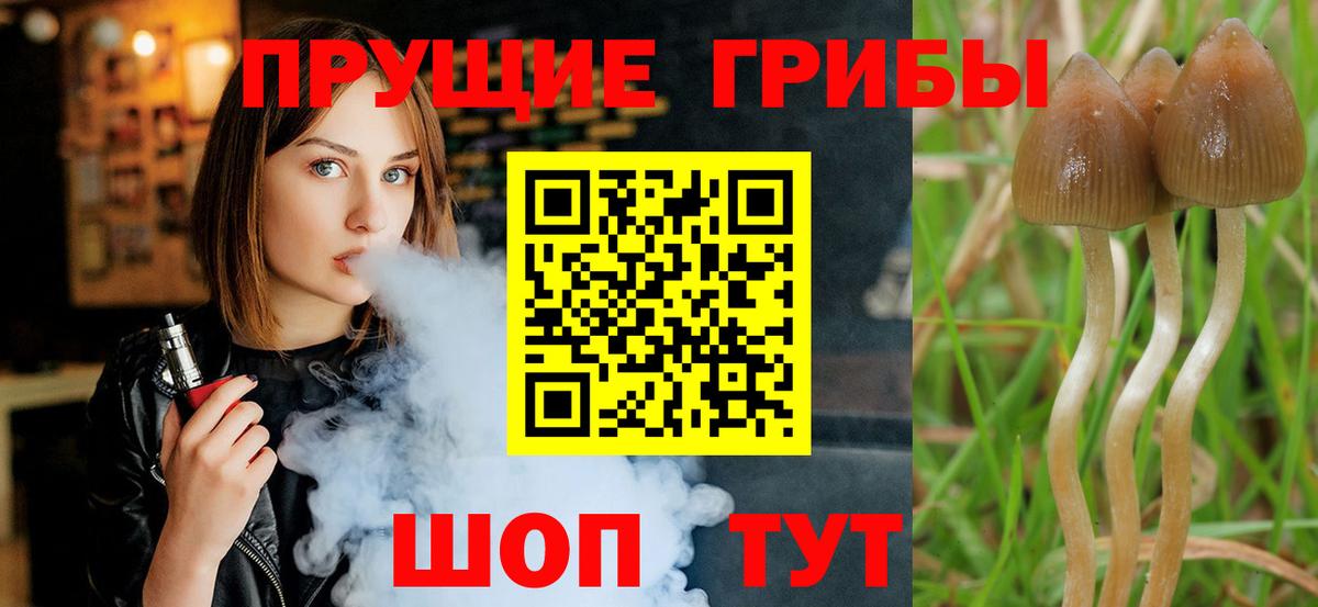 Галлюциногенные грибы Cubensis  Вход с VPN  где найти наркотики  Галлюциногенные грибы Cubensis  Солнечногорск 